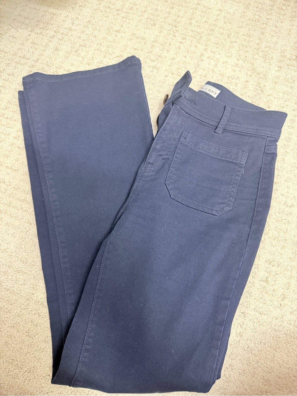 LOFT Navy Skinny Jeans
